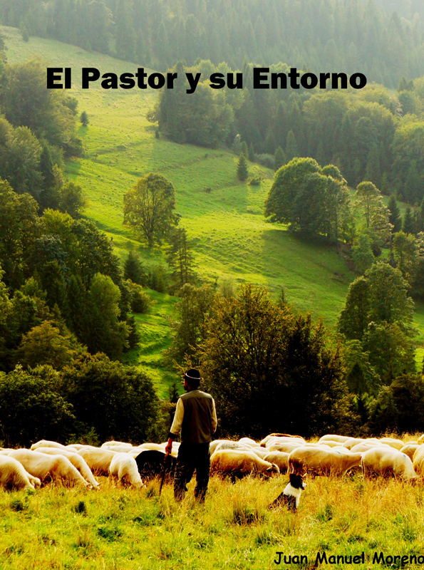 Portada libro El Pastor y su Entorno. Juan Manuel Moreno Escritor lectura bíblica